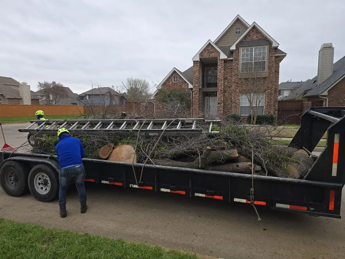 Expert Tree Pest Control with proper safety equipment in Burna